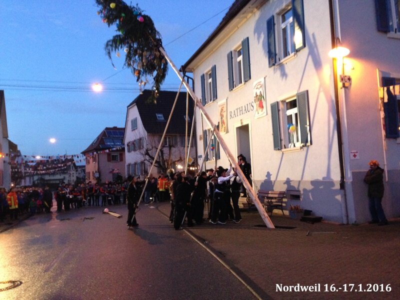 festival II