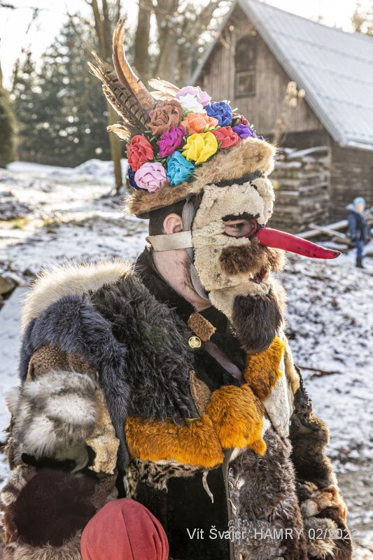Vít Švajcr (dobré světlo)